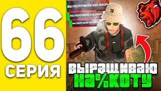 ПУТЬ БОМЖА НА БЛЕК РАША #66 - НЕЛЕГАЛЬНО ЗАРАБАТЫВАЮ БАБКИ ВЫРАЩИВАЯ ЛЕКАРСТВО В BLACK RUSSIA