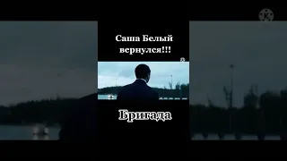 Саша Белый вернулся #бригада