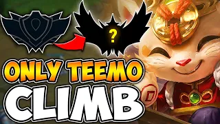 ZWAG'S TEEMO ONLY RANKED CLIMB CONTINUES! #2