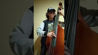 Fly Me to the Moon - Frank Sinatra (Double Bass Cover)