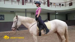 Открытый урок по балансу верхом. Начальные упражнения на шагу