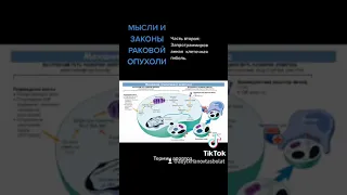 МЫСЛИ И ЗАКОНЫ РАКОВОЙ ОПУХОЛИ. Часть 2. Апоптоз