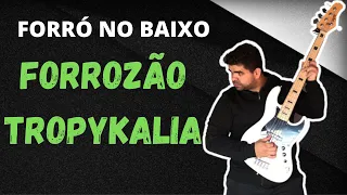 Forró no baixo 2020 - Forrozão Tropykália - Planeta de Cores