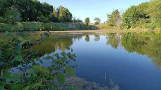 Спортивная рыбалка на поплавок.Крупный окунь сбежал из садка, сорвался карась! 🤬😫🤯