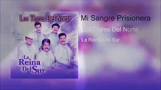 Mi Sangre Prisionera - Los Tigres Del Norte Full Audio Norteño