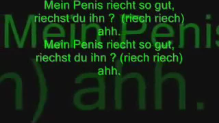 Der Penis song