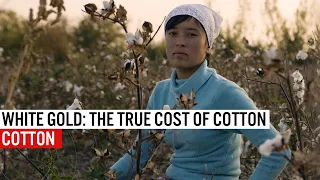 White Gold - The True Cost Of Cotton