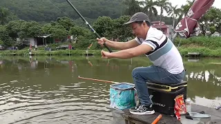 雨越大鱼越多，下雨天钓鲮鱼想不爆护都难啊！高清泰鲮吃口漂像。