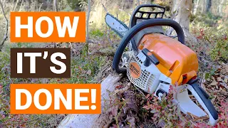 There She Goes! | Tree Felling With A Stihl MS251