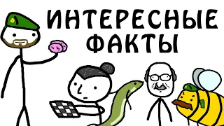 "Интересные факты" - Академия Брокколи (почти Академия Сэма О'Неллы)