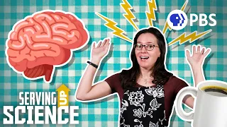 Is Caffeine Dangerous? Your Brain on Coffee | Serving Up Science