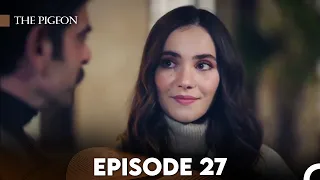 The Pigeon Episode 27 (FULL HD)