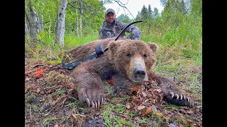 BOWHUNTING ALASKAN BROWN, BLACK, AND GOLD BEARS