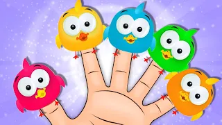 Finger Family Song With Ducks + Fun Kids Songs | Cartoon Candy