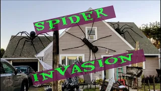 GIANT SPIDER! Halloween Prop Build DIY