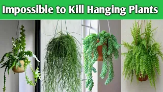 17 Impossible to Kill Indoor Hanging Plants  | Indoor Hanging Basket Plants | Plant and Planting
