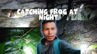 Catching frogs at mid  night  #hunting videos