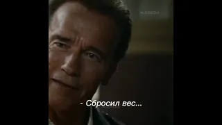 Сталоне и Шварцнегер