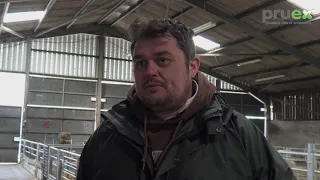 Reduction use of antibiotics in Sheep Shed