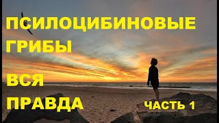 #ПСИЛОЦИБИНОВЫЕ ГРИБЫ -ВСЯ ПРАВДА! МОЙ ОПЫТ. ЧАСТЬ 1