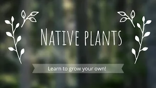 Starting Native Plants