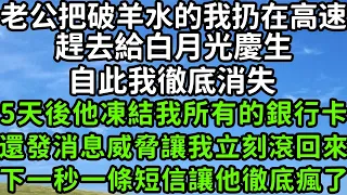 老公把破羊水的我扔在高速，趕去給白月光慶生，自此我徹底消失，5天後他凍結我所有的銀行卡，還發消息威脅讓我立刻滾回來，下一秒一條短信讓他徹底瘋了！#枫林晚霞#幸福人生#為人處世#情感故事#花开富贵