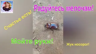 Счастье есть! Радуйтесь мелочам! Мира нам всем, здоровья и доброты!