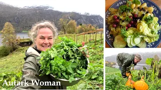 Gesunde Ernährung nur bei Selbstversorgung? Was bedeutet gesund essen für mich? | Chronisch krank