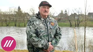 Почему в Беларуси не верят в покушение на детей Лукашенко, какое «принципиальное решение» он готовит
