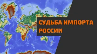 Что ждёт импорт в России?