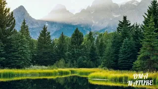 Yellowstone National park. Йеллоустонский Национальный парк. США