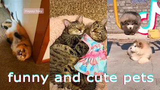 Funny and super cute pets on TikTok #31