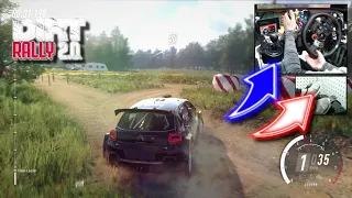 Citroën C3 Rally Poland Zienki / Logitech G29 DiRT Rally 2.0