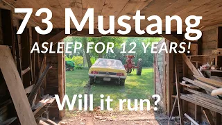 1973 Mustang hidden away for 12 years. Will it run?