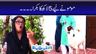 Bulbulay Season 2 Episode 14 | Ayesha Omar | Nabeel