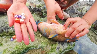 How many pearl oysters did this fish eat? It's full of pearls