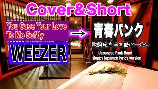 Cover&Short#6  You Gave Your Love To Me Softly  #weezer  #音楽 #カバー #青春パンク #comedy　#アーティスト の#暇つぶし