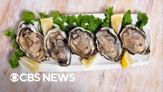 Climate change is killing summer oysters, study finds
