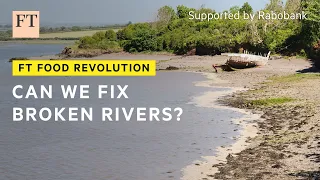 Fighting agricultural pollution in England’s waterways | FT Food Revolution