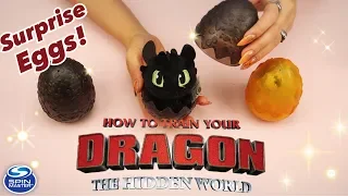 Surprise EGGS! How To Train Your Dragon! Spin Master