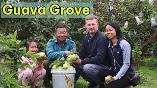 Brentwood Family in Vietnam: Going into a Secret Guava Grove