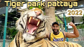 Tiger Park Pattaya | Thailand 2022 🇹🇭| Tiger attacked me 😨