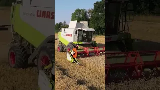 Claas Lexion 550 bei der Weizenernte 2022 | Lohndrusch | Mähdrescher