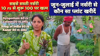 सस्ती नर्सरी जून जुलाई में नर्सरी से कौन से फूल पौधे खरीदें Cheapest Plant Nursery Visit in JuneJuly