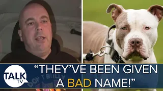 “They’ve Been Given A Bad Name!” Man Transports XL Bully Dogs To Scotland To Get Around Ban