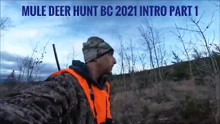 Mule deer hunting BC 2021 part 1 intro