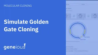 How to Simulate Golden Gate Cloning with Geneious Prime