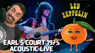 Earls Court '75 Acoustic [Led Zeppelin Reaction] Tangerine, Going to California, That's the Way LIVE