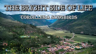 THE BRIGHTSIDE OF LIFE BY CORDILLERA SONGBIRDS