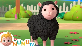 Baa Baa Black Sheep | Kids Songs & Nursery Rhymes | NuNu Tv